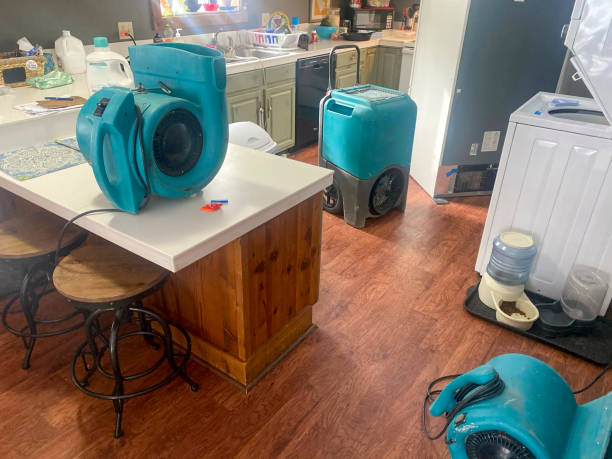 Best Water damage restoration near me  in Atkinson, NE