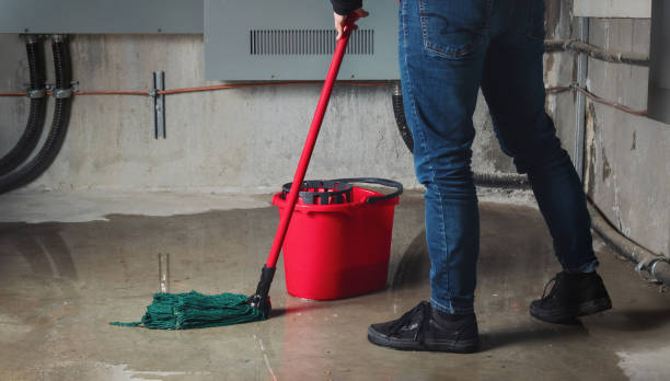 Best Water damage contractors near me  in Atkinson, NE