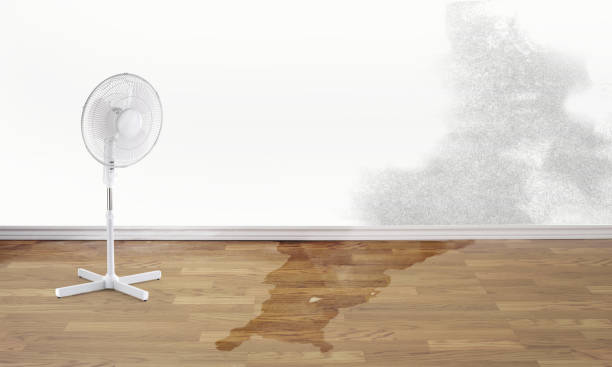 Best Sewage cleanup and water damage restoration  in Atkinson, NE
