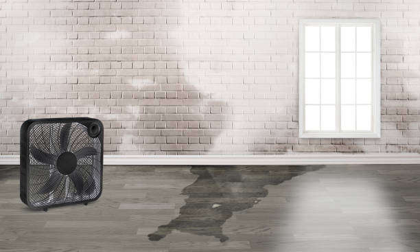 Best Water damage cleanup near me  in Atkinson, NE