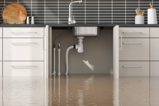 Best Flood restoration services  in Atkinson, NE