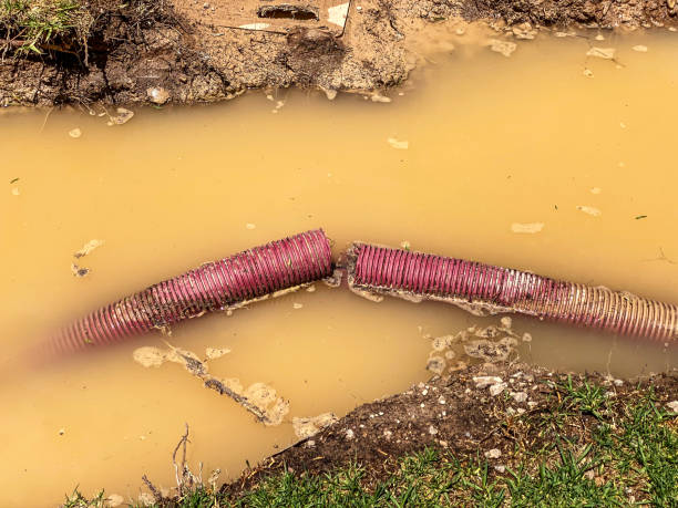Best Commercial water damage restoration  in Atkinson, NE
