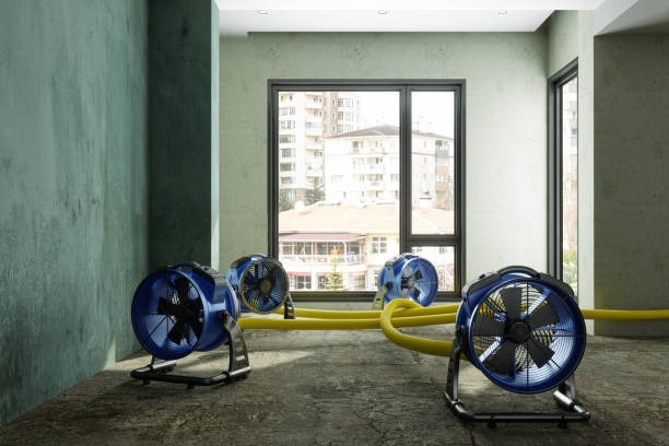 Best Local water damage restoration  in Atkinson, NE